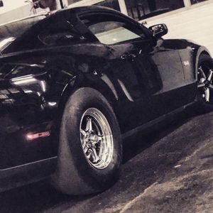 Meet your Posher, Tylor